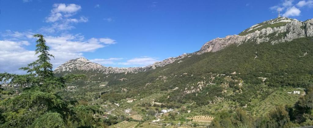 Hotel Sant'Elene Dorgali Eksteriør billede