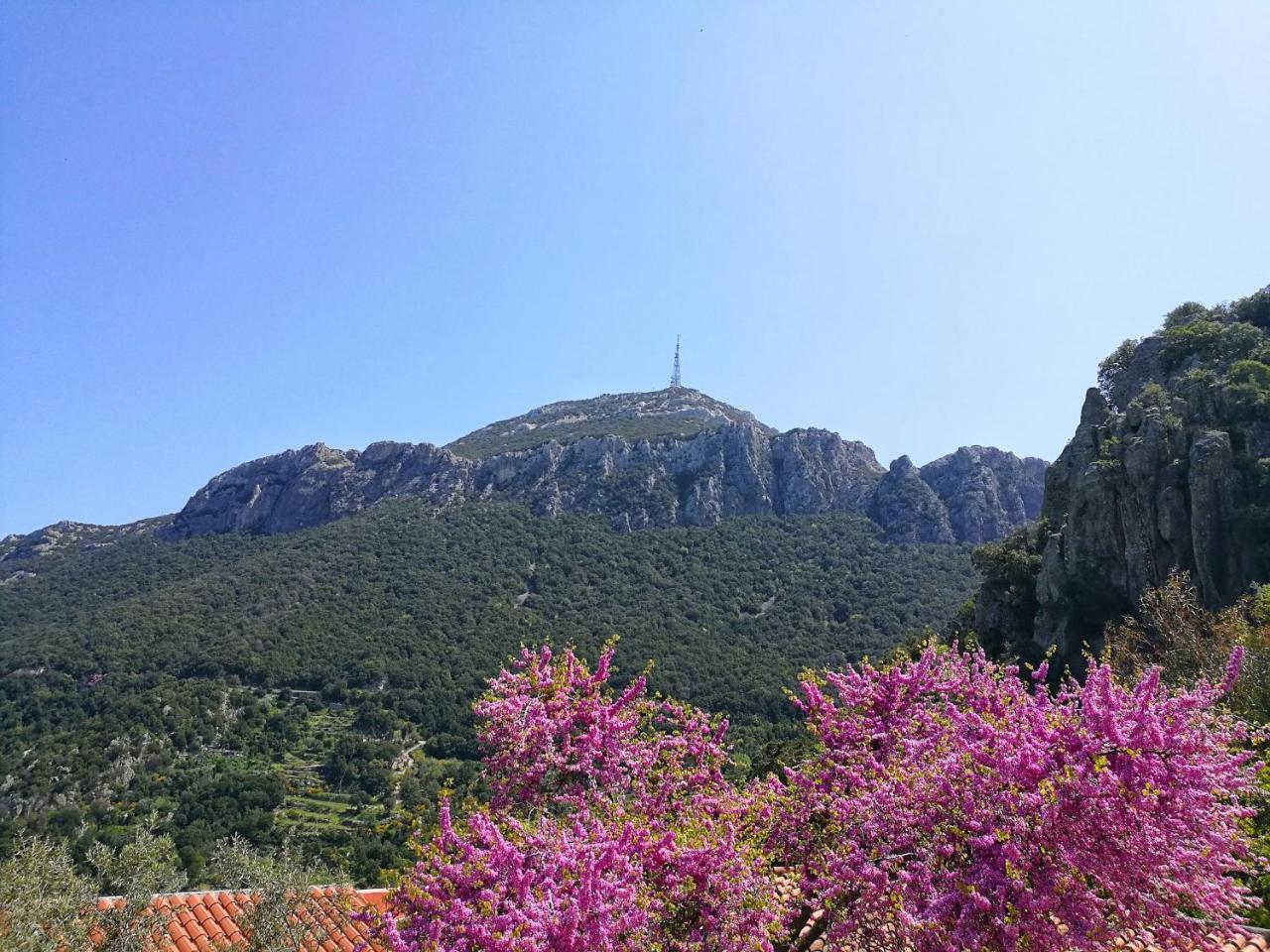 Hotel Sant'Elene Dorgali Eksteriør billede